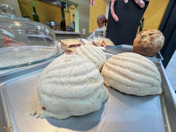 Productos masa madre León Gto