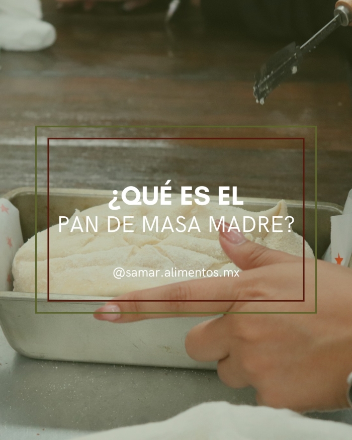 Productos masa madre León Gto