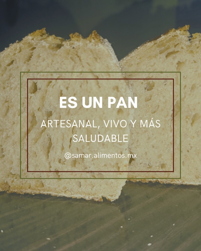 Pan de masa madre León Gto
