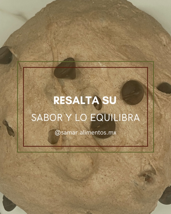 Pan de masa madre León Gto