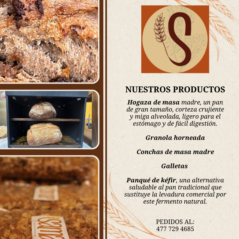 Panadería masa madre León Gto
